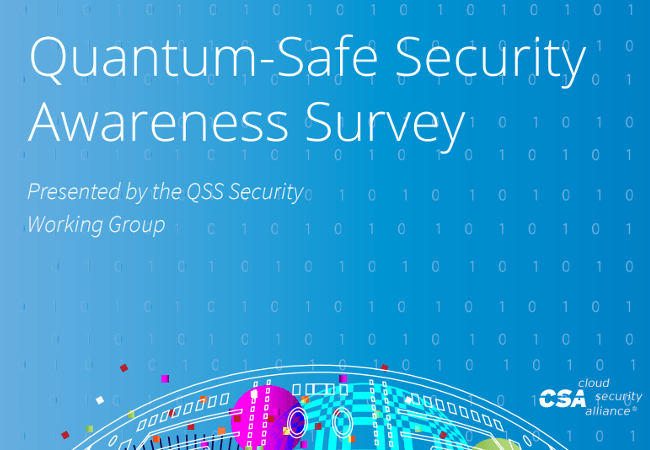 Quantum-Safe Security Awareness Survey 2020